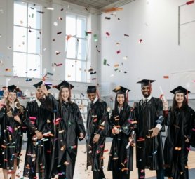 Successills for College and Institutes