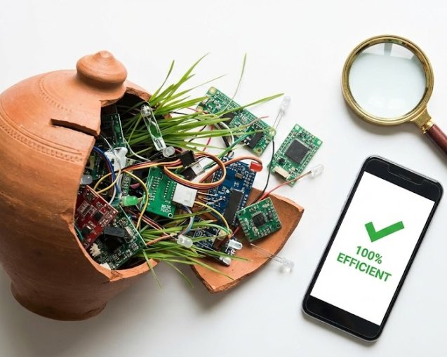 Successills NGO Blog Post 2