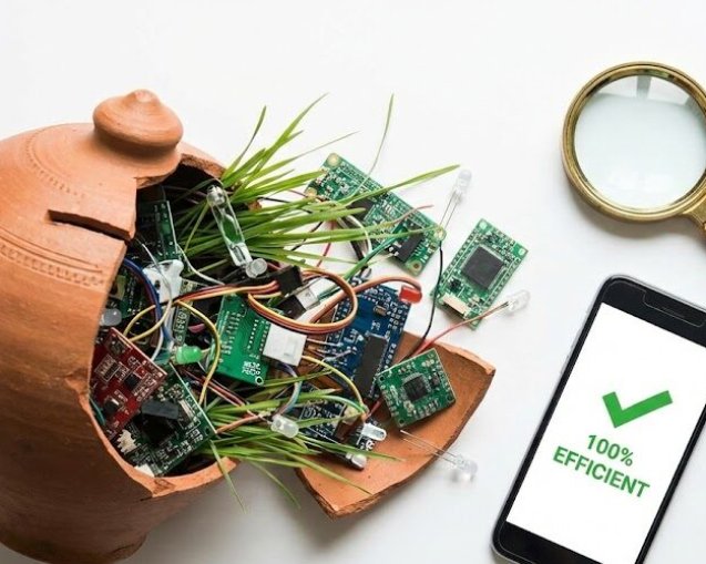 Successills NGO Blog Post 2