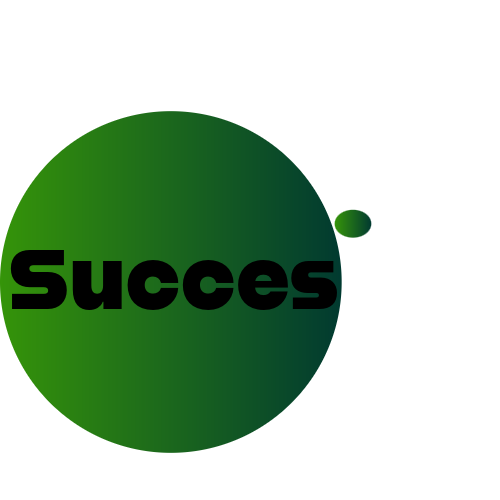 Successills Academy